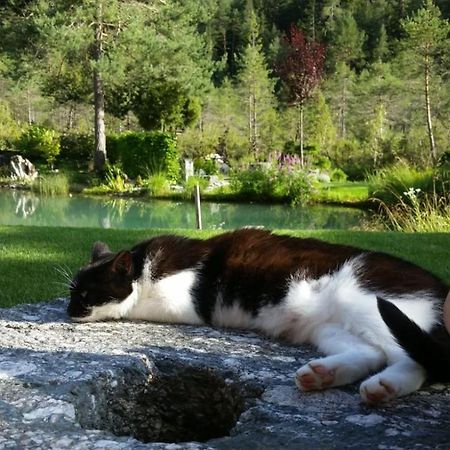 Ferienwohnung Bettina Berg im Drautal Esterno foto